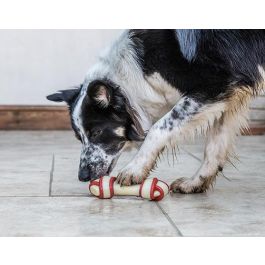 Nylabone Rawhide Knot Bone Beef L Nylabone Rawhide Knot Bone Beef L
