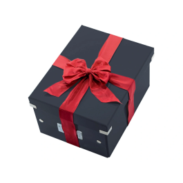 Leitz Click & Store Caja Almacenamiento Cúbica Grande Negra 320x360x310 mm