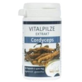 Pilze Wohlrab Cordyceps sinensis Bio con Acerola, Extracto de Hongo Certificado Orgánico, 60 Cápsulas Veganas Precio: 37.4999999. SKU: B1DFCX9J4C