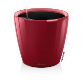 Lechuza 16027 Jardinera Classico premium LS 21 Kit completo, Rojo escarlata brillante, 3 L Precio: 46.49999992. SKU: B1BJ7XQ4J8