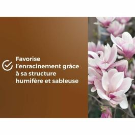 Or Brun OBRTBRU6U Tierra y sustrato especial para macetas de brezo, 6L. Ideal para enraizamiento óptimo de brezos