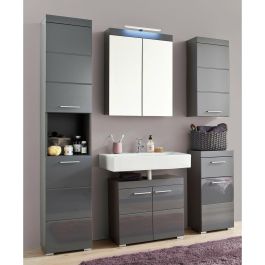 Trendteam Mueble Bajo de Baño AMANDA - 1 Puerta + 1 Cajón - Gris - L37 x P31 x H79 cm