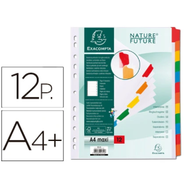 Exacompta Separador Cartulina DIN A4+ Multitaladro Blanco Juego de 12 con Pestañas Reforzadas Precio: 1.79000019. SKU: B1EGQ2X2AK