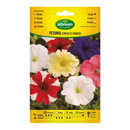 Sobre con semillas de petunia compacta variada 300678bolsh agreen Precio: 2.50000036. SKU: B1APKKGPBC