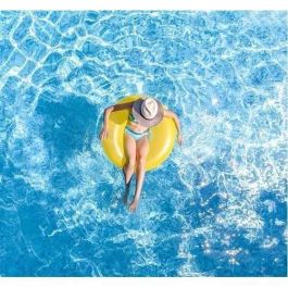 Aspiradora de fondo manual BSI - Con compartimento para residuos de piscina - 30 cm Aspiradora de fondo manual BSI - Con compartimento para residuos de piscina - 30 cm