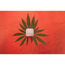 Bálsamo Labial High on Love Sensual 7 ml