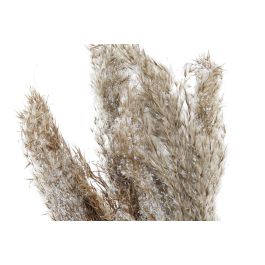 DKD Home Decor Planta Navidad Alpina Decoración Hogar Marrón 25x55x35 cm – Adorno Festivo Fibra y PVC con Plumas (2 Unidades)