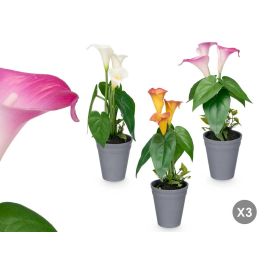 Ibergarden Maceta Cónica Gladiolos Surtidos 20 cm x 35 cm x 15 cm Plástico Cemento Amarillo Morado Rojo (Set de 12) Precio: 35.50000003. SKU: B1ES6CYZWN