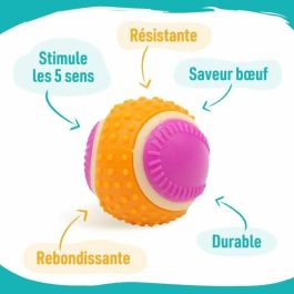 Peluche para perros Aimé Rosa Plástico