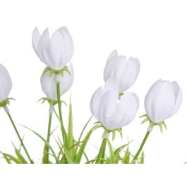 Ibergarden Maceta Tulipan Surtidos para Jardín y Terraza, Fabricada en Plástico, Metal o Tela, Colores Variados, 14x21x14 cm (24 Unidades) Ibergarden Maceta Tulipan Surtidos para Jardín y Terraza, Fabricada en Plástico, Metal o Tela, Colores Variados, 14x21x14 cm (24 Unidades)
