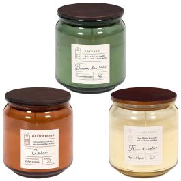 Home Deco Factory Vela Perfumada Tarro de Vidrio con Tapa 9,6 cm - Ámbar, Flor de Algodón, Bruma del Bosque - Colección Cocooning