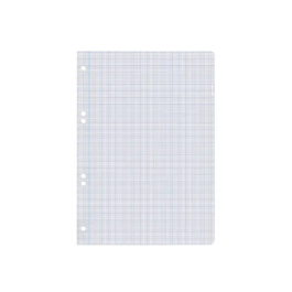 Liderpapel Recambio A5 100 Hojas 75gr Milimetrado Sin Margen 6 Taladros