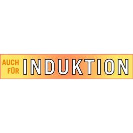 GSW 488204 Freidora de Inducción 22 cm con Tapa de Cristal de Acero Inoxidable