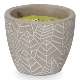 Vela citronela de terracota "hojas" colores surtidos Vela citronela de terracota "hojas" colores surtidos