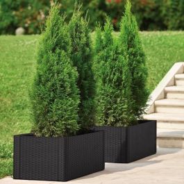 Stefanplast Caja de flores rectangular Natural Delux, ratán, con auto-riego, 100x43x33cm, 90L + 6.5L, Antracita