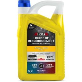 Holts HAFR0004B Refrigerante 5L + Boquilla Dedicado Renault-Dacia Tipo D Precio: 29.6899999. SKU: B1ADXPPXL6