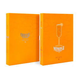 Belius Cocktails Bolígrafo y Tarjetero de Aluminio y Símil Piel, Naranja Plateado con Tinta Azul, Protección RFID, Caja Diseño