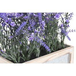 Planta Shabby DKD Home Decor Lila 15 x 35 x 33 cm (2 Unidades) Planta Shabby DKD Home Decor Lila 15 x 35 x 33 cm (2 Unidades)