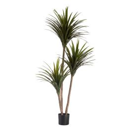 Planta Decorativa Ibergarden BRS-ADE181 Plástico Cable de hierro Hoja estrecha 80 x 200 x 105 cm Planta Decorativa Ibergarden BRS-ADE181 Plástico Cable de hierro Hoja estrecha 80 x 200 x 105 cm