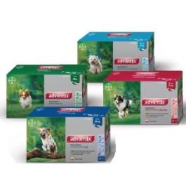 Elanco Advantix Spot On Perro 25 kg-40 kg Pip 24x4 mL Precio: 217.7899999. SKU: B12E2XG9WA