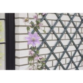 Nature NAT8711338407134 Enrejado Extensible Plástico Antracita 50 x 150 cm Precio: 24.95000035. SKU: B1GQ6P9BXE
