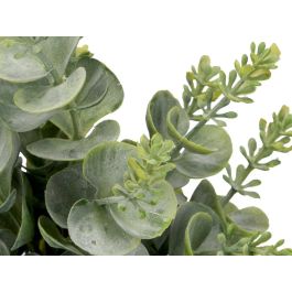 Ibergarden Maceta Cilindro Hojas Verde Surtidos 10x18x10 cm (Set de 36)