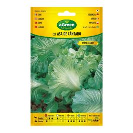 Agreen 000250bolsh Semillas Col Asa de Cántaro Agreen Sobre de Semillas Precio: 1.79000019. SKU: B1FZTZ6VCQ