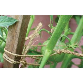 Biotop Cuerda de Sisal Natural Resistente Biodegradable 200 m Precio: 5.8201. SKU: B1HVJXHXZD