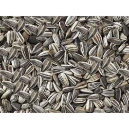 Comida para pájaros Deli Nature Premium 2,5 kg