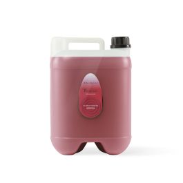 Iv San Bernard Champu Ginseng Reforzante para Manto Debil y Caida de Pelo 10lt Precio: 92.6255. SKU: B1982ZQJE9