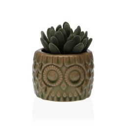 Planta Suculenta VERSA en Maceta de Cerámica 7.6x10.2 cm (6 Unidades) Precio: 36.99000008. SKU: B18KM5MFKZ
