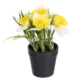 Planta 3/M Blanco-Amarillo Artificial 19 X 16 X 21 cm