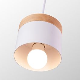 Lámpara Colgante "Mikayla"  [SKD-P1010-OG]