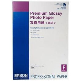Epson GF Papel Premium Glossy Photo A2, 20 hojas - 250g/m2 Precio: 50.49999977. SKU: B1EVGNTELD