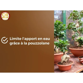 Or Brun OBRTBON6U Tierra para Bonsáis 6L - Mejor enraizamiento