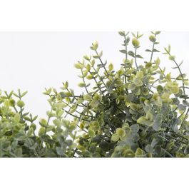 DKD Home Decor Planta Artificial Decorativa Verde Musgo de Resina y PE para Interiores y Decoración - Pack 12 Unidades - 19x19x27 cm DKD Home Decor Planta Artificial Decorativa Verde Musgo de Resina y PE para Interiores y Decoración - Pack 12 Unidades - 19x19x27 cm