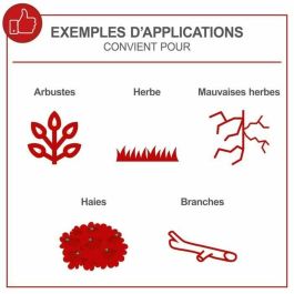 Scheppach SCH4046664285274 Desbrozadora Térmica 4 en 1 (Desbrozadora, Podadora, Cortasetos, Recortadora)