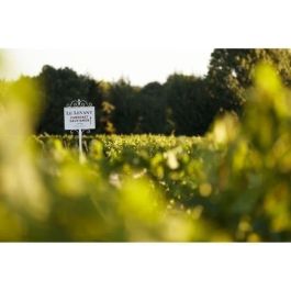 Caja de medallas de oro de Burdeos: Château du Lort, La Croix Montlabert, Châteaux Tour Prignac - Vino tinto de Burdeos