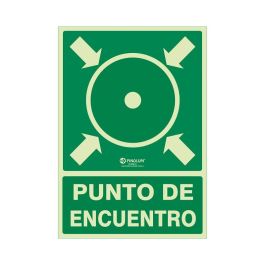 DUVER 980 Señal de Punto de Encuentro Luminiscente de Plástico 420x297mm Precio: 20.50000029. SKU: B15FKEG2P4