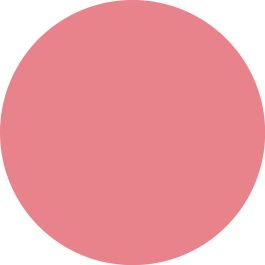 Catrice VELVET PUDDING Colorete Blurring #010-Raspberry Fudge 5 gr - Rubor Textura Mousse con Acabado Difuso y Aterciopelado