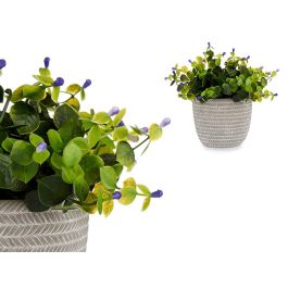 IBERGARDEN Planta Verde Flor Lila con Maceta Gris 21x21x20.6 cm