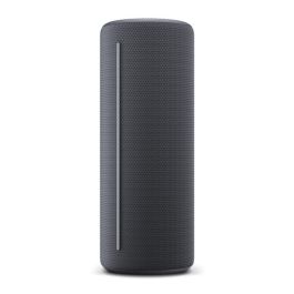 Loewe LOE4011880171267 Altavoz Portátil Inalámbrico Nosotros. HEAR 1 Bluetooth 40W IPX6 14h Batería Gris Tormenta