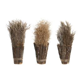 DKD Home Decor Planta Alpino Marron Natural 18 x 40 x 18 cm (12 Unidades) Precio: 57.95000002. SKU: B1BP2HC2HL