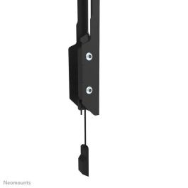 Neomounts WL30-550BL12 Soporte de Pared Fijo Ultra-plano 2,3cm para TV 24-65", Max 40kg, VESA 50x50-200x200, Negro