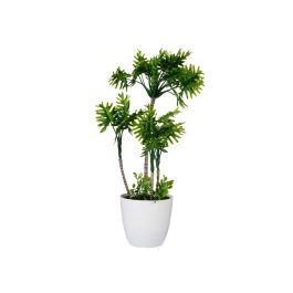 Maceta Planta Alta 4 Palmeras Verdes Ibergarden 16X54CM (6 Unidades) Maceta Planta Alta 4 Palmeras Verdes Ibergarden 16X54CM (6 Unidades)