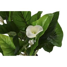 DKD Home Decor Planta Lirio de agua Verde Blanco 50 x 100 x 50 cm (2 Unidades)