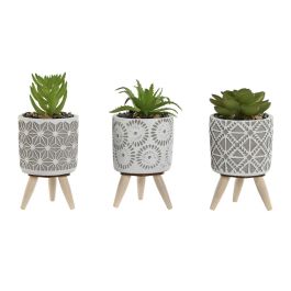 Planta DKD Home Decor Gris Verde 6.5 x 11 x 6.5 cm (3 Unidades) Precio: 9.5000004. SKU: B13MSEZMD2