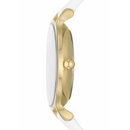 Reloj Mujer Skagen SKW3138 Reloj Mujer Skagen SKW3138