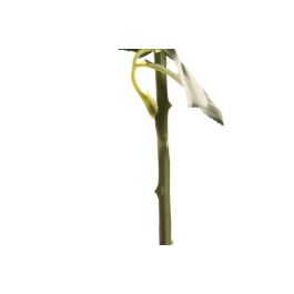 DKD Home Decor Flor Blanco 9 x 67 x 9 cm (12 Unidades) Tacto Real Seda