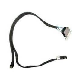 Dell ASSY x8 Backplane to mini PERC SAS Cable Amphenol para PowerEdge R640 8SFF/10SFF
